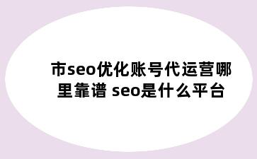 市seo优化账号代运营哪里靠谱 seo是什么平台